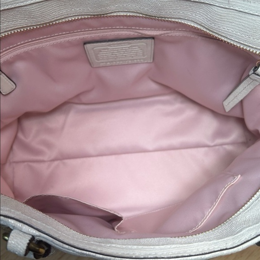 Coach Alexandra Python Straw Tote - image 9